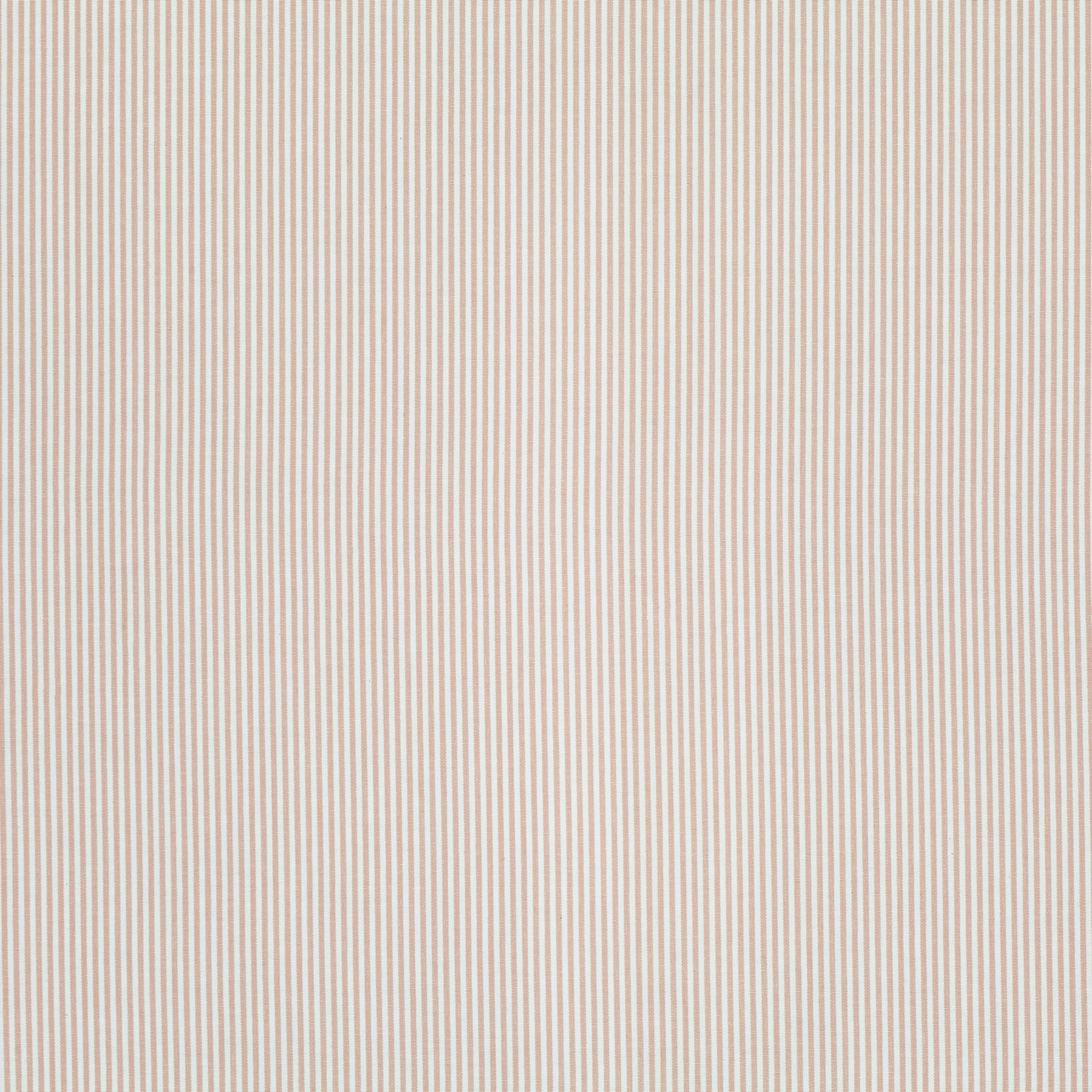 The Curtain