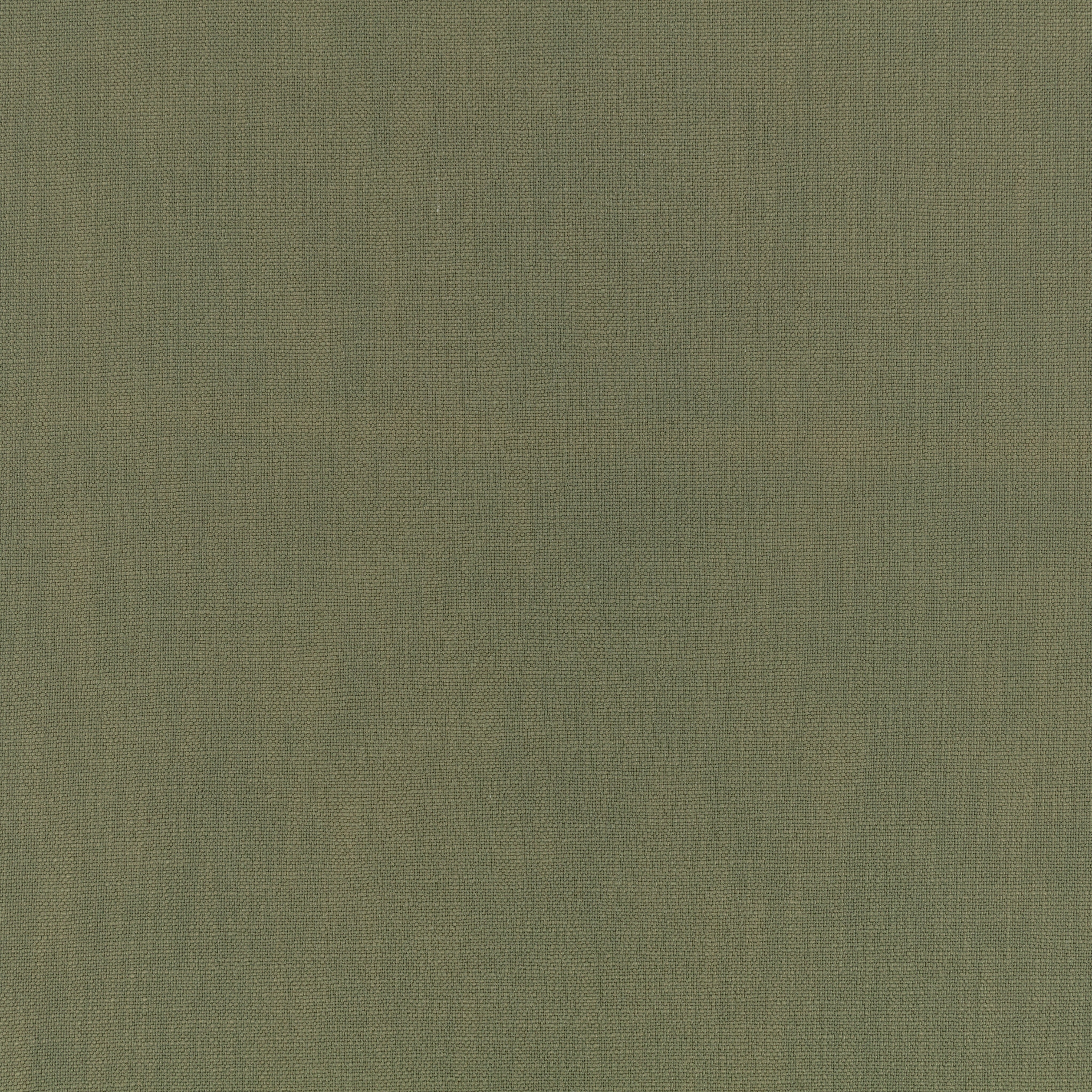 The Curtain